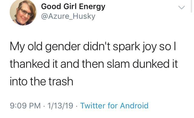 This meme is a screenshot of a Twitter post from a user named @Azure_Husky. The text reads: "My old gender didn't spark joy so I threw it away and it landed on my face."